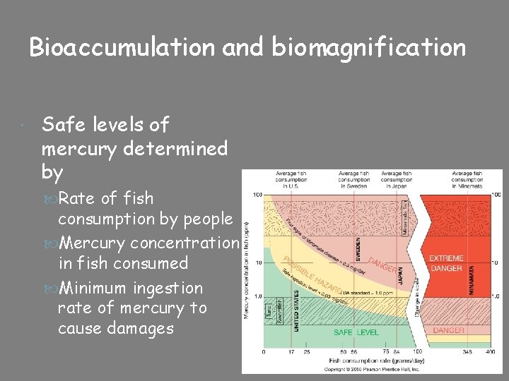 Bioaccumulation and biomagnification Safe levels of mercury determined by Rate of fish consumption by