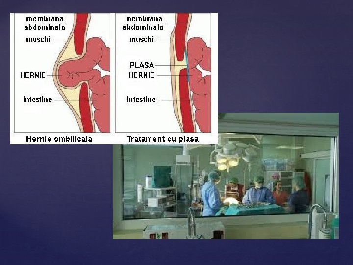 Universitatea De Stat De Medicin I Farmacie Nicolae