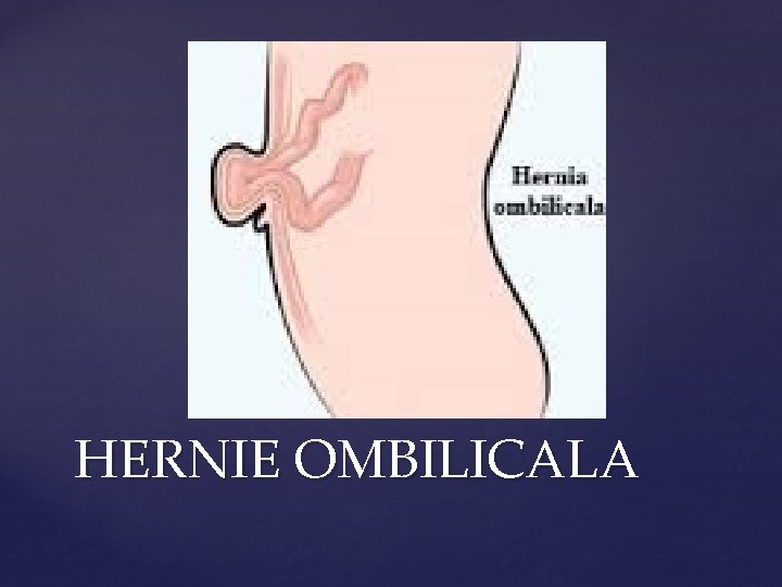 Universitatea De Stat De Medicin I Farmacie Nicolae