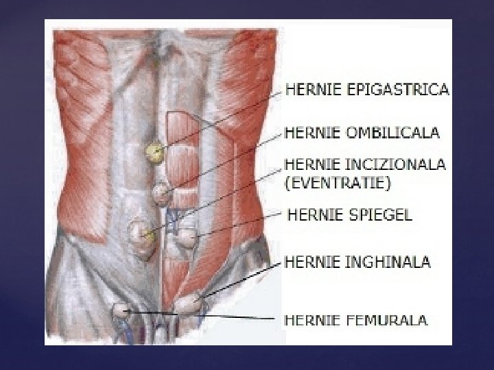 Universitatea De Stat De Medicin I Farmacie Nicolae