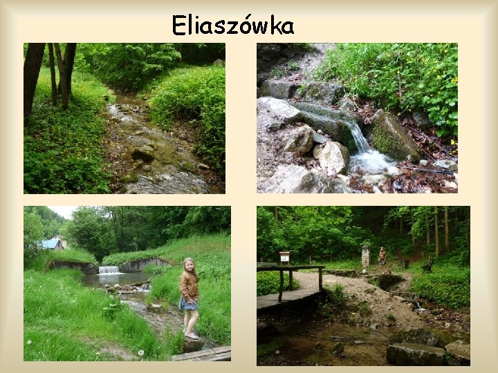 Eliaszówka 