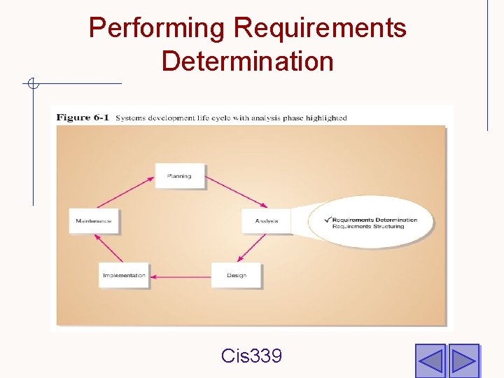 Performing Requirements Determination Cis 339 