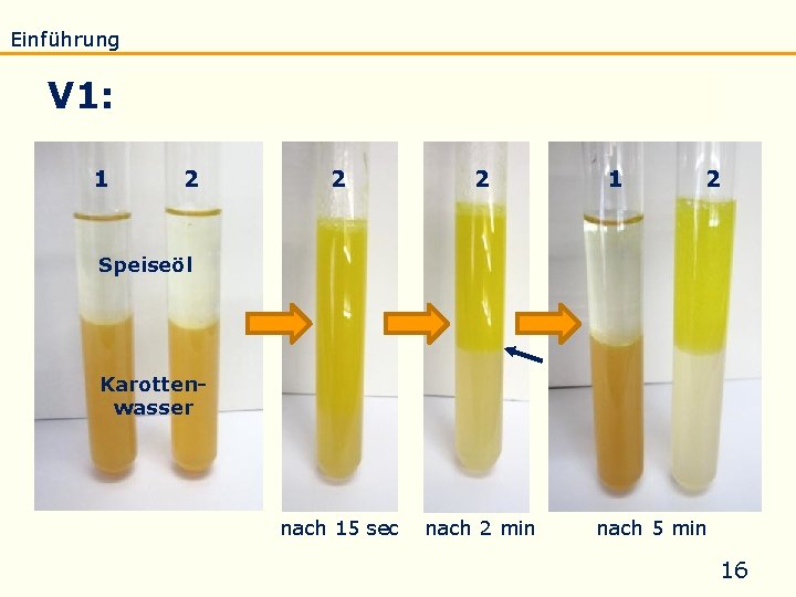 Einführung Eigenschaften Verseifung Raffination Untersuchung Biodiesel V 1: Fettlöslichkeit von β-Carotin 1 2 2