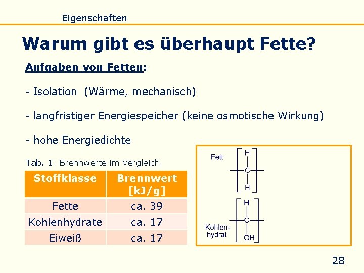 Einführung Eigenschaften Verseifung Raffination Untersuchung Biodiesel Warum gibt es überhaupt Fette? Aufgaben von Fetten: