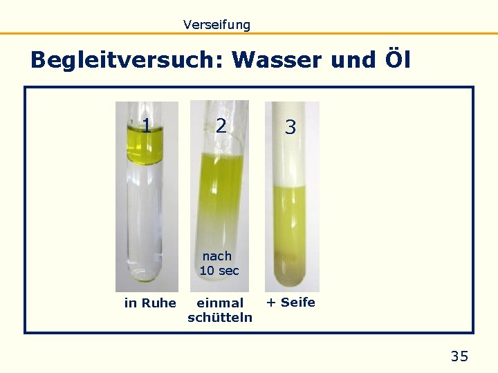 Einführung Eigenschaften Verseifung Raffination Untersuchung Biodiesel Begleitversuch: Wasser und Öl 1 2 3 nach