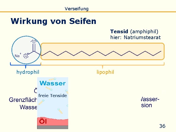 Einführung Eigenschaften Verseifung Raffination Untersuchung Biodiesel Wirkung von Seifen Tensid (amphiphil) hier: Natriumstearat hydrophil