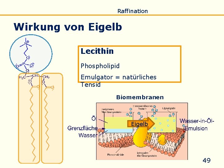 Einführung Eigenschaften Verseifung Raffination Untersuchung Biodiesel Wirkung von Eigelb Lecithin Phospholipid Emulgator = natürliches