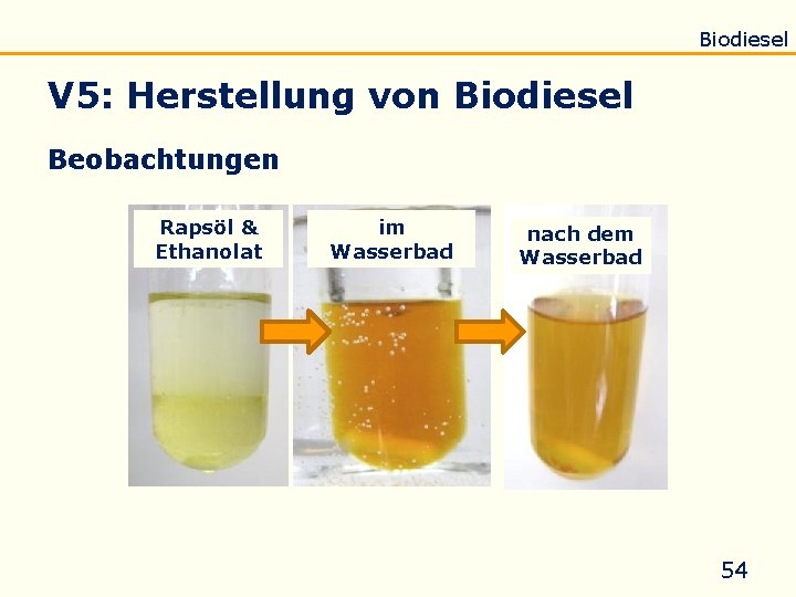 Einführung Eigenschaften Verseifung Raffination Untersuchung Biodiesel V 5: Herstellung von Biodiesel Beobachtungen Rapsöl &