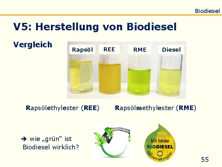 Einführung Eigenschaften Verseifung Raffination Untersuchung Biodiesel V 5: Herstellung von Biodiesel Vergleich Rapsölethylester (REE)