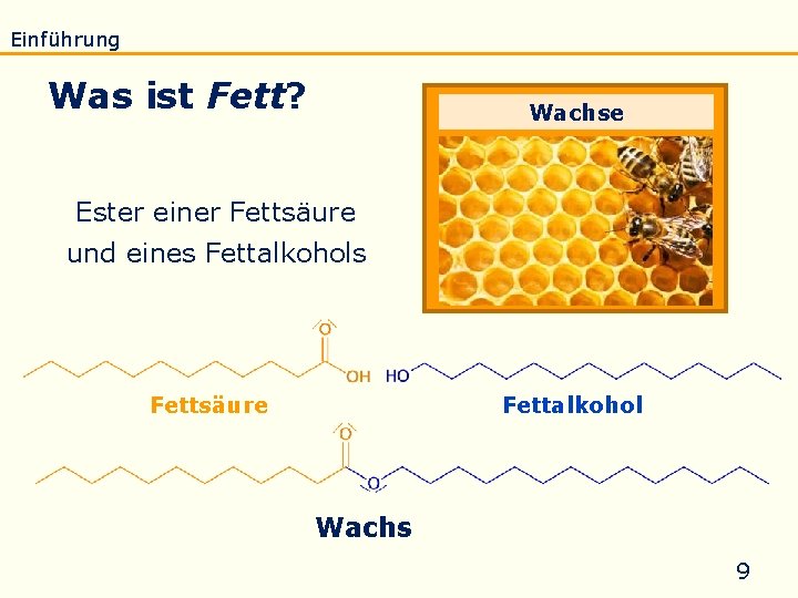 Einführung Eigenschaften Verseifung Raffination Untersuchung Biodiesel Was ist Fett? Wachse Ester einer Fettsäure und