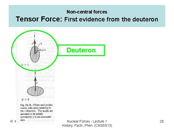 Non-central forces Tensor Force: First evidence from the deuteron Deuteron R. Machleidt Nuclear Forces