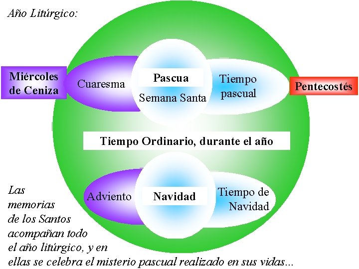 Año Litúrgico: Miércoles de Ceniza Cuaresma Pascua Semana Santa Tiempo pascual Tiempo Ordinario, durante