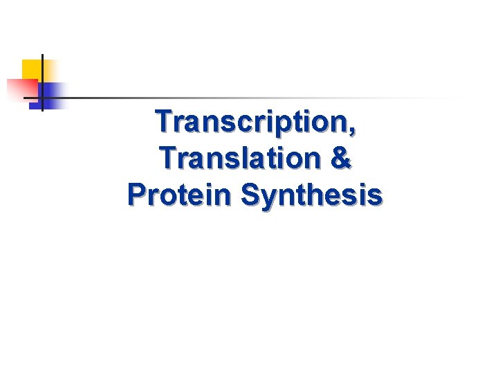 Transcription, Translation & Protein Synthesis 