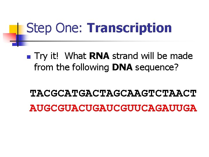 Step One: Transcription n Try it! What RNA strand will be made from the