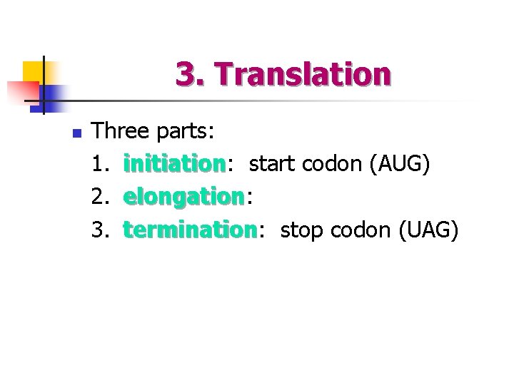 3. Translation n Three parts: 1. initiation: initiation start codon (AUG) 2. elongation: elongation