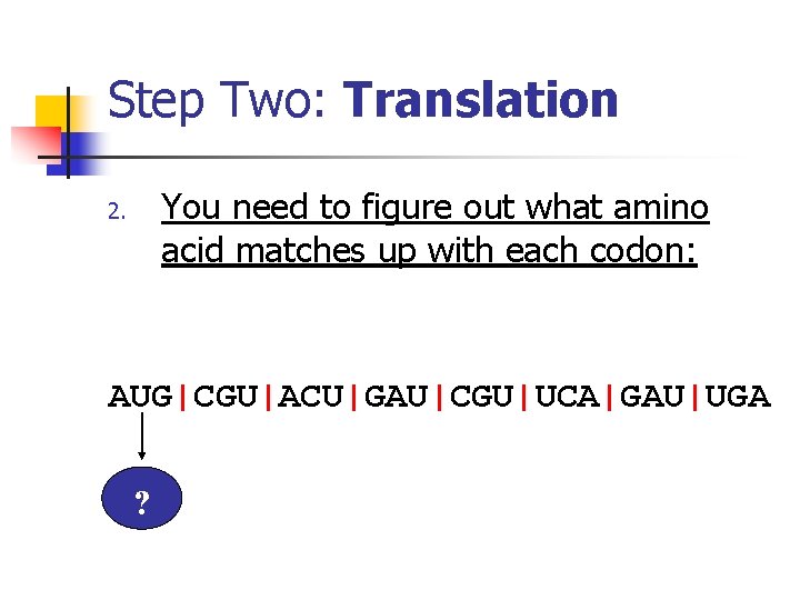 Step Two: Translation You need to figure out what amino acid matches up with