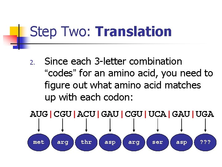 Step Two: Translation 2. Since each 3 -letter combination “codes” for an amino acid,