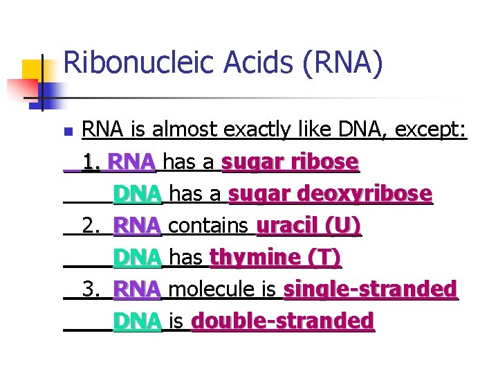 Ribonucleic Acids (RNA) n RNA is almost exactly like DNA, except: 1. RNA has