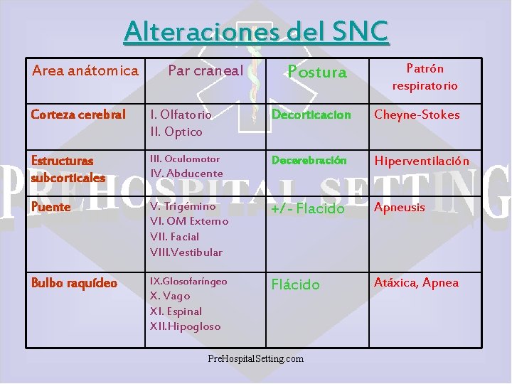 Alteraciones del SNC Area anátomica Par craneal Postura Patrón respiratorio Corteza cerebral I. Olfatorio