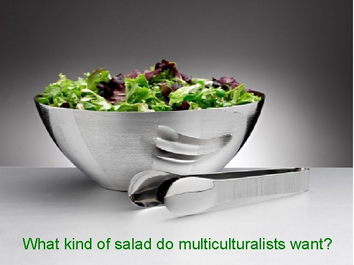 What kind of salad do multiculturalists want? 