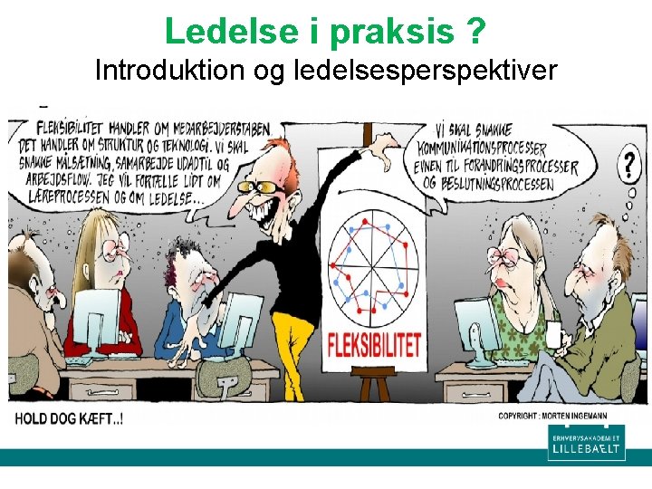 Ledelse i praksis ? Introduktion og ledelsesperspektiver 