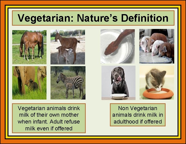 Vegetarian: Nature’s Definition Vegetarian animals drink milk of their own mother when infant. Adult