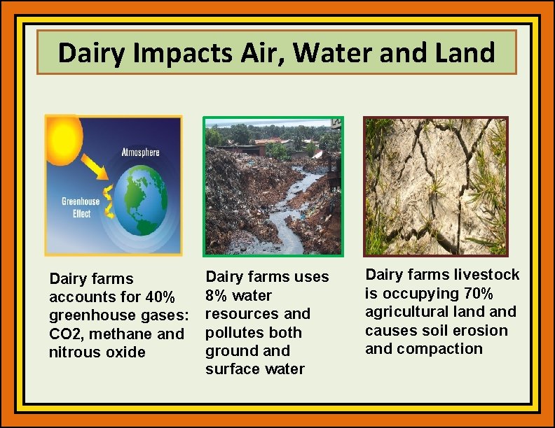 Dairy Impacts Air, Water and Land Dairy farms accounts for 40% greenhouse gases: CO