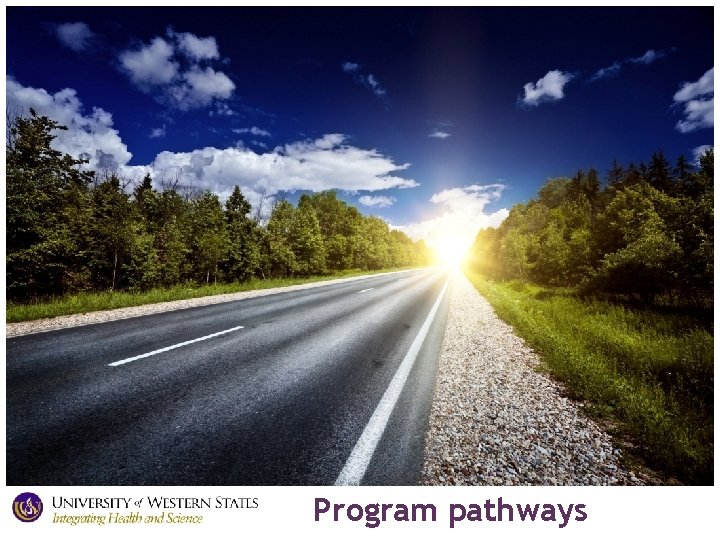 Program pathways 