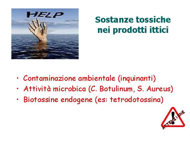 Sostanze tossiche nei prodotti ittici • Contaminazione ambientale (inquinanti) • Attività microbica (C. Botulinum,