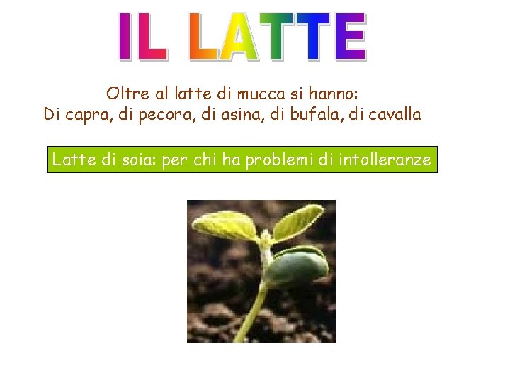 Oltre al latte di mucca si hanno: Di capra, di pecora, di asina, di