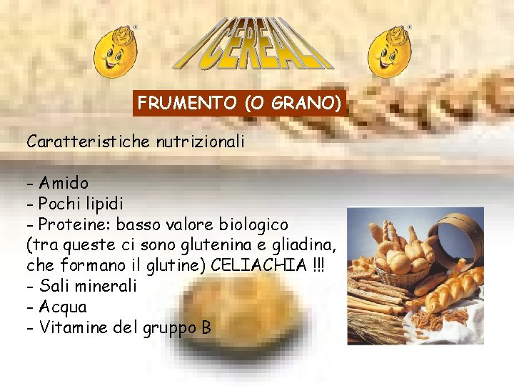 FRUMENTO (O GRANO) Caratteristiche nutrizionali - Amido - Pochi lipidi - Proteine: basso valore