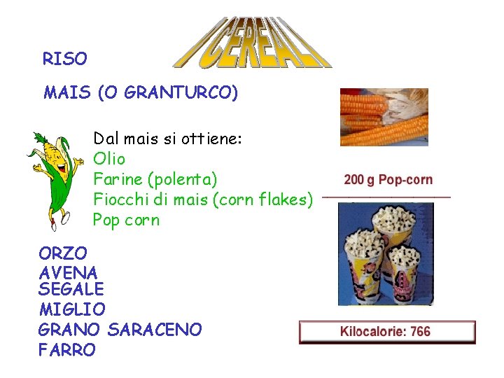 RISO MAIS (O GRANTURCO) Dal mais si ottiene: Olio Farine (polenta) Fiocchi di mais