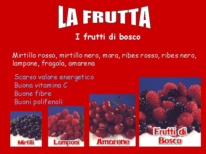 I frutti di bosco Mirtillo rosso, mirtillo nero, mora, ribes rosso, ribes nero, lampone,