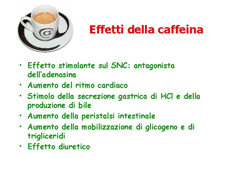 Effetti della caffeina • Effetto stimolante sul SNC: antagonista dell’adenosina • Aumento del ritmo