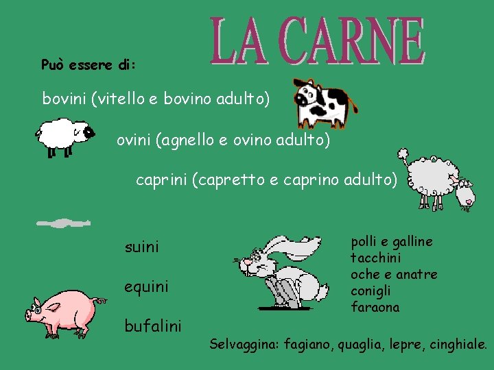 Può essere di: bovini (vitello e bovino adulto) ovini (agnello e ovino adulto) caprini