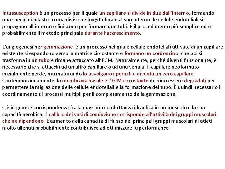 Intussusception è un processo per il quale un capillare si divide in due dall’interno,