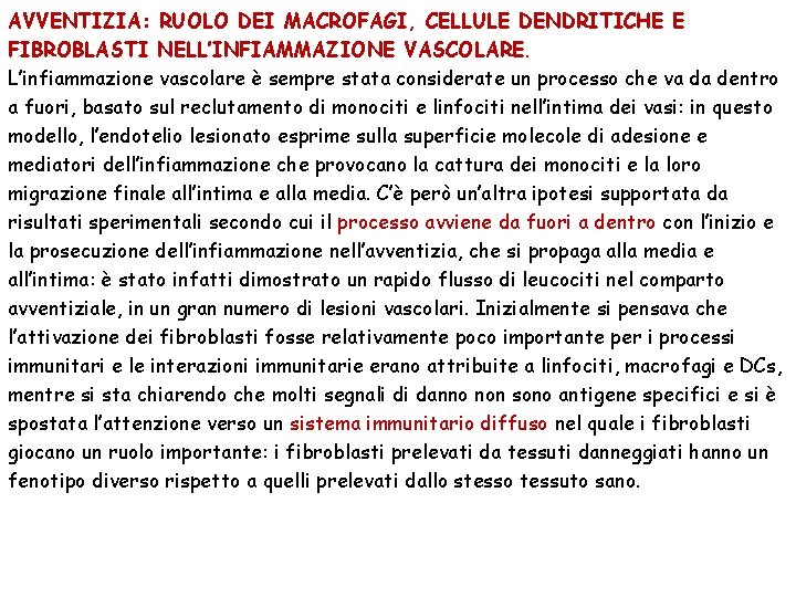 AVVENTIZIA: RUOLO DEI MACROFAGI, CELLULE DENDRITICHE E FIBROBLASTI NELL’INFIAMMAZIONE VASCOLARE. L’infiammazione vascolare è sempre