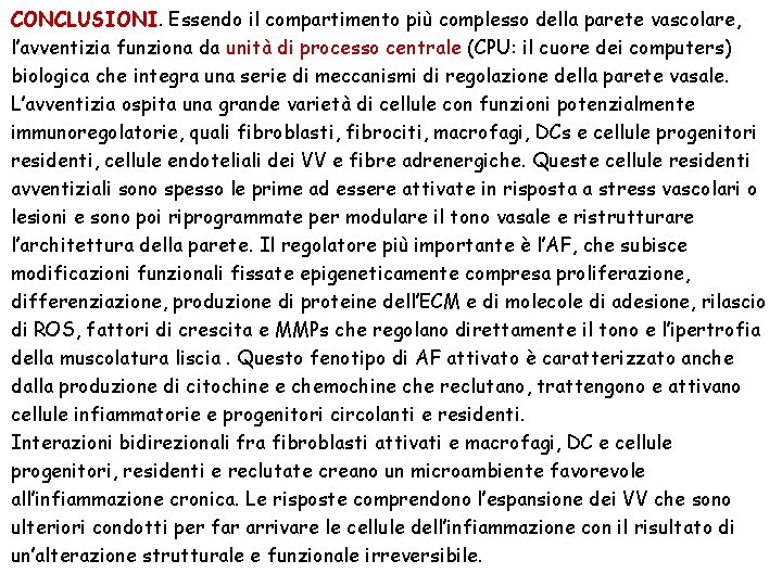 CONCLUSIONI. Essendo il compartimento più complesso della parete vascolare, l’avventizia funziona da unità di