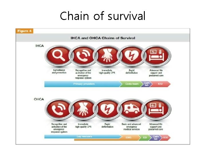 Chain of survival 