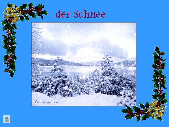 der Schnee 