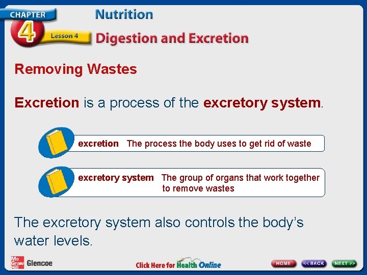 Removing Wastes Excretion is a process of the excretory system. excretion The process the