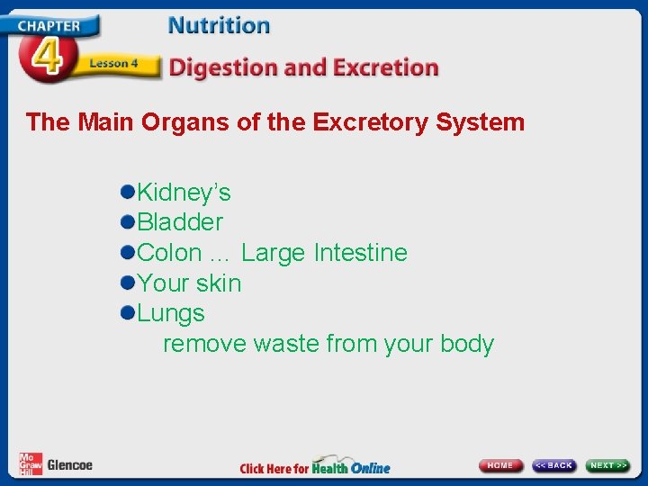 The Main Organs of the Excretory System Kidney’s Bladder Colon … Large Intestine Your