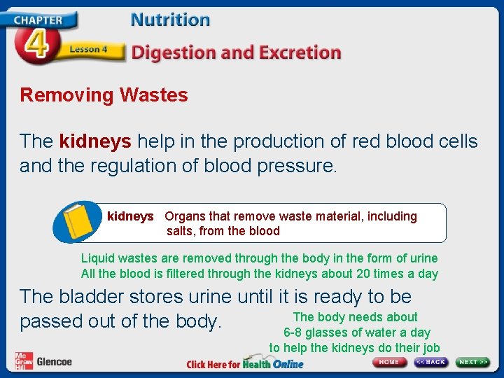 Removing Wastes The kidneys help in the production of red blood cells and the