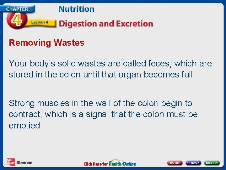 Removing Wastes Your body’s solid wastes are called feces, which are stored in the