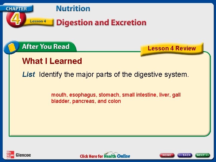 Lesson 4 Review What I Learned List Identify the major parts of the digestive