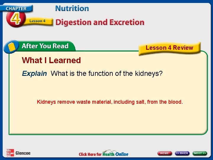 Lesson 4 Review What I Learned Explain What is the function of the kidneys?