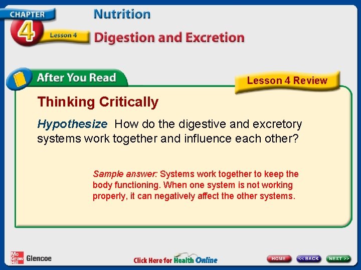 Lesson 4 Review Thinking Critically Hypothesize How do the digestive and excretory systems work