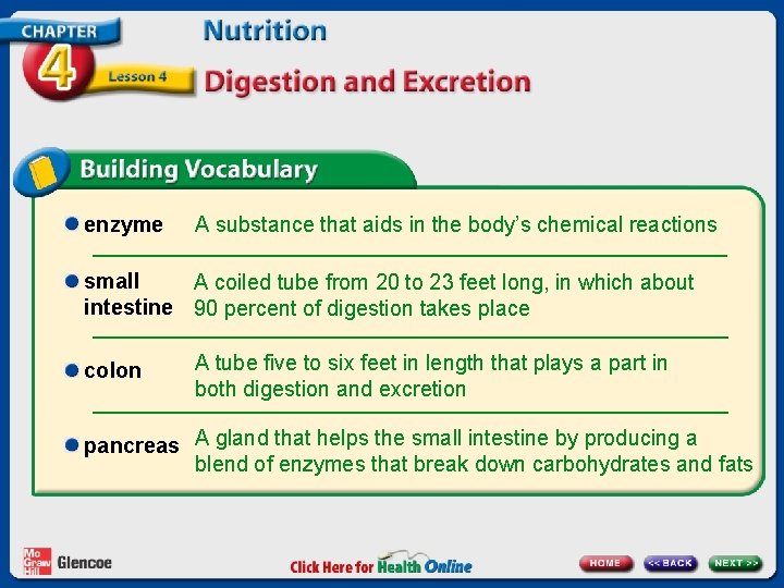 enzyme A substance that aids in the body’s chemical reactions small A coiled tube