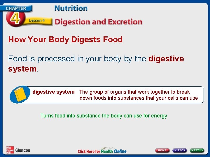 How Your Body Digests Food is processed in your body by the digestive system