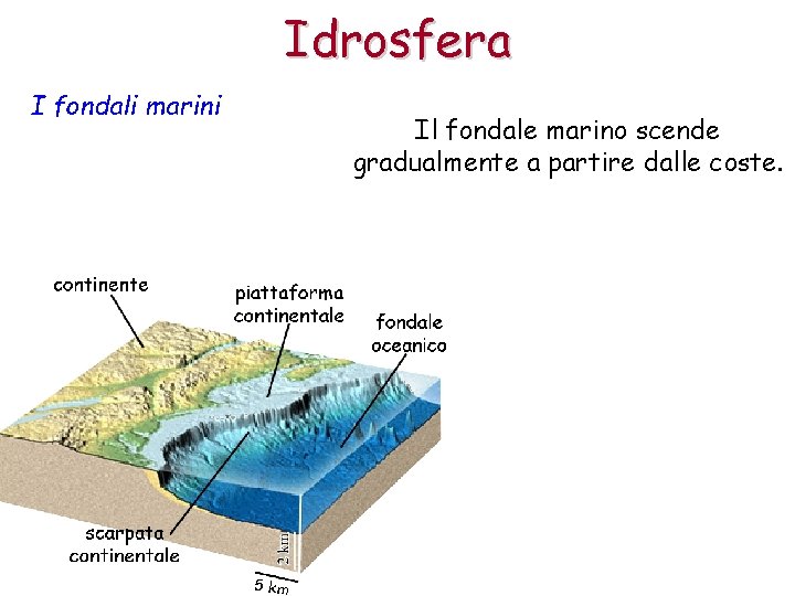 Idrosfera I fondali marini Il fondale marino scende gradualmente a partire dalle coste. 